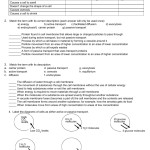 Cell Transport Worksheet - Google Docs intended for Cell Transport Review Worksheet Answers