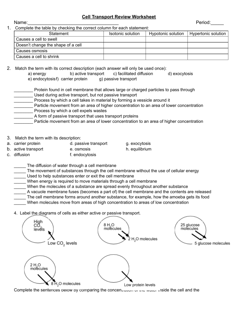 Cell Transport Worksheet - Google Docs intended for Cell Transport Review Worksheet Answers