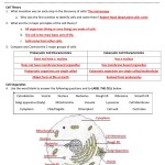 Cell Unit Review Worksheet | Part I | Key regarding Membrane Structure And Function Worksheet