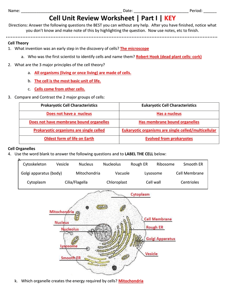 Cell Unit Review Worksheet | Part I | Key regarding Membrane Structure And Function Worksheet