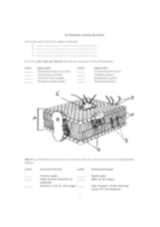 Cellmembrane Woksheet - Cell Membrane Coloring Worksheet List 4 Functions Of The Cell Or With Regard To Cell Membrane Coloring Worksheet