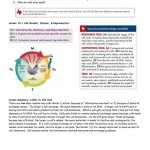 Cells Alive Cell Cycle Worksheet Answer Key ~ Karinhouelanddesigns For Cells Alive Cell Cycle Worksheet