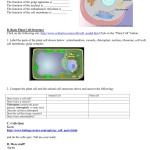 Cells Alive Plant Cell Worksheet Answer Key — Db Excel In Cells Alive Worksheet Answer Key