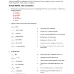 Cells And Organelles Review - Answers regarding Cell Organelles Worksheet Answers