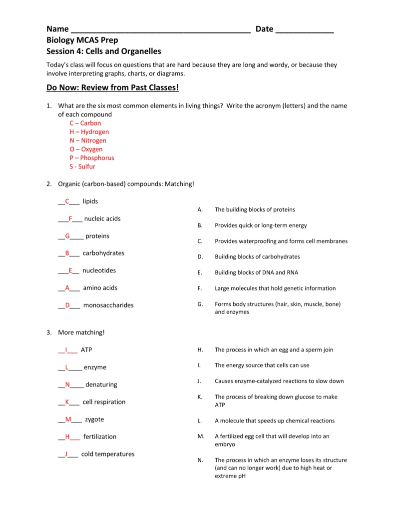 Cells And Organelles Review - Answers regarding Cell Organelles Worksheet Answers