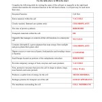Cells And Their Organelles Worksheet In Cells And Their Organelles Worksheet