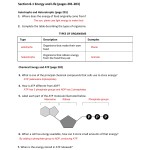 Cellular Respiration Pogil Worksheet Answer Key – Pogil Answer Key Membrane Structure And With Regard To Cellular Respiration Worksheet Key