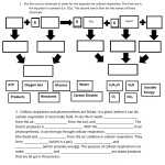 Cellular Respiration Worksheet Answer Key – Word Worksheet Intended For Photosynthesis And Respiration Worksheet Answers