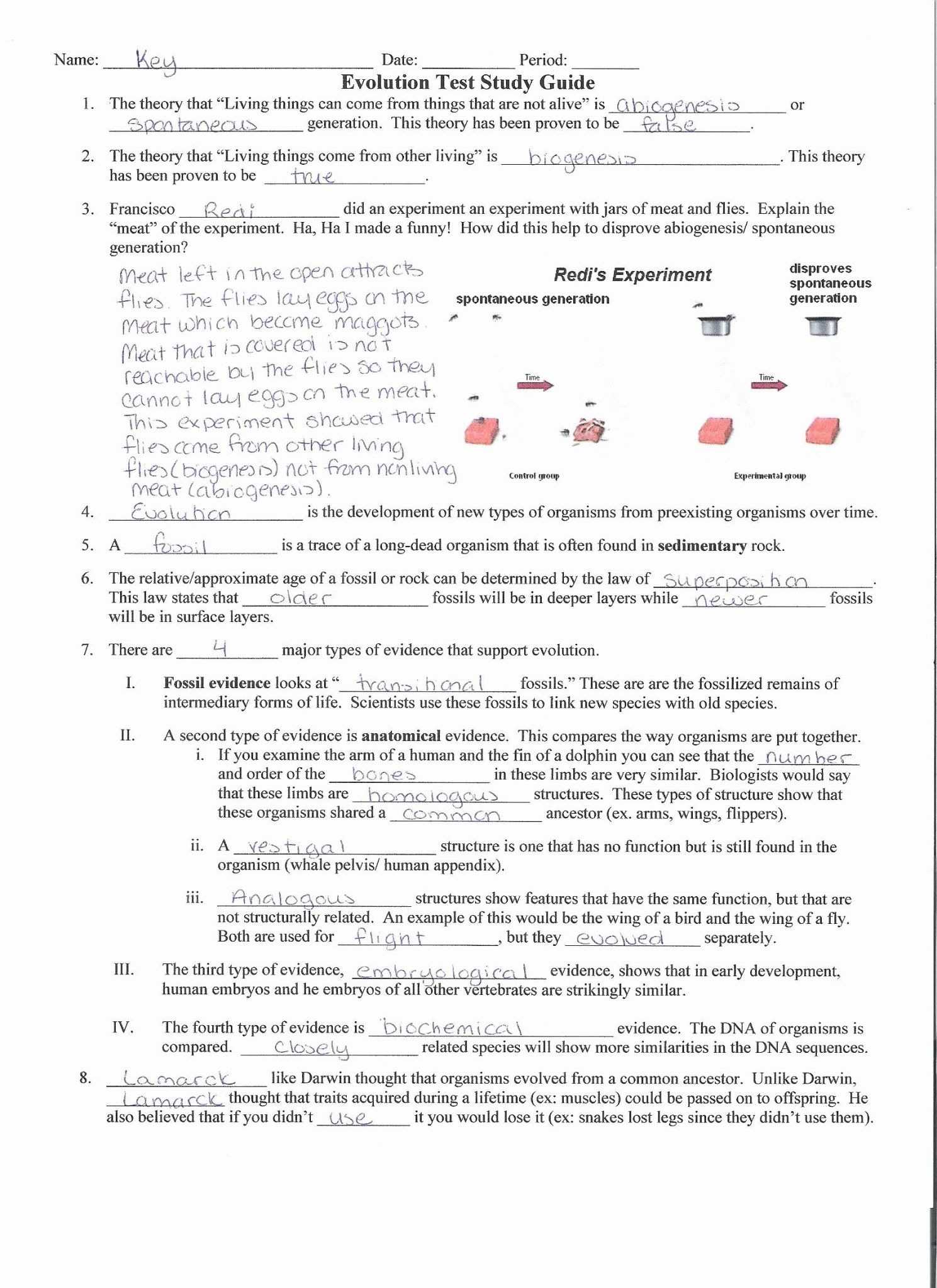 Cellular Transport And The Cell Cycle Worksheet — Db-Excel with Cell Transport Worksheet Biology Answers