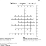 Cellular Transport Worksheet Answers – Ivuyteq In 7 3 Cell Transport Worksheet Answers