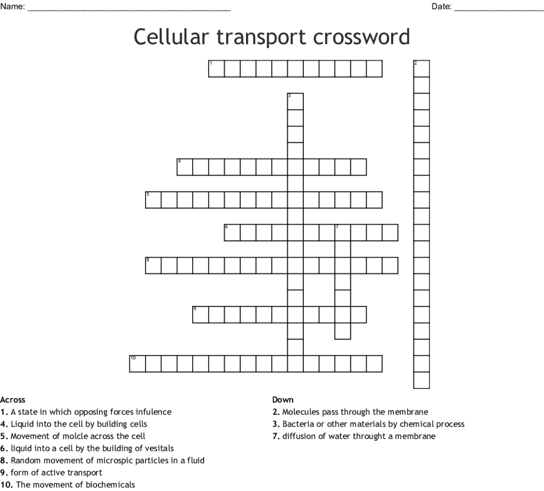 Cellular Transport Worksheet Answers - Ivuyteq In 7 3 Cell Transport Worksheet Answers