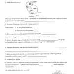 Cellular Transport Worksheet Section A Cell Membrane Structure Answer Key — Db Excel For Cell Transport Worksheet Answers