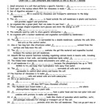 Cellular Transport Worksheet Section A Cell Membrane Structure Answer Key — Db Excel With Cellular Transport Worksheet Answers