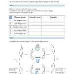 Changes Of State Worksheet — Db Excel Inside Change Of State Worksheet