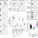 Chapter 1 Section 2 The Nature Of Science Worksheet Answers — Db-Excel regarding The Nature Of Science Worksheet