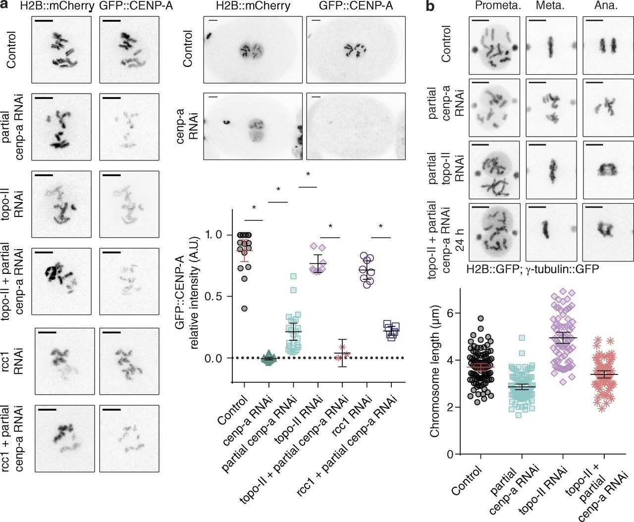 Chapter 1 Section 2 The Nature Of Science Worksheet Answers — Db-Excel regarding The Nature Of Science Worksheet
