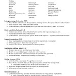 Chapter 13 Principles Of Ecology Study Guide Answers – Study Poster In Principles Of Ecology Worksheet Answers