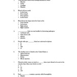 Chapter 5 Cardiovascular System Worksheet Answers – Updated 2021 Regarding The Circulatory System Worksheet Answers