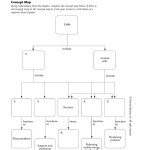 Chapter 7 Cell Structure And Function Concept Map Answers | Zip Code Map inside Cell Concept Map Worksheet Answers