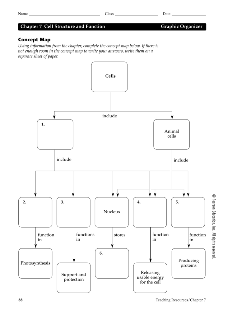 Chapter 7 Cell Structure And Function Concept Map Answers | Zip Code Map inside Cell Concept Map Worksheet Answers