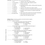 Chapter 7 Cell Structure And Function Worksheet Answer Key — Db Excel Intended For Cell Structure And Function Worksheet
