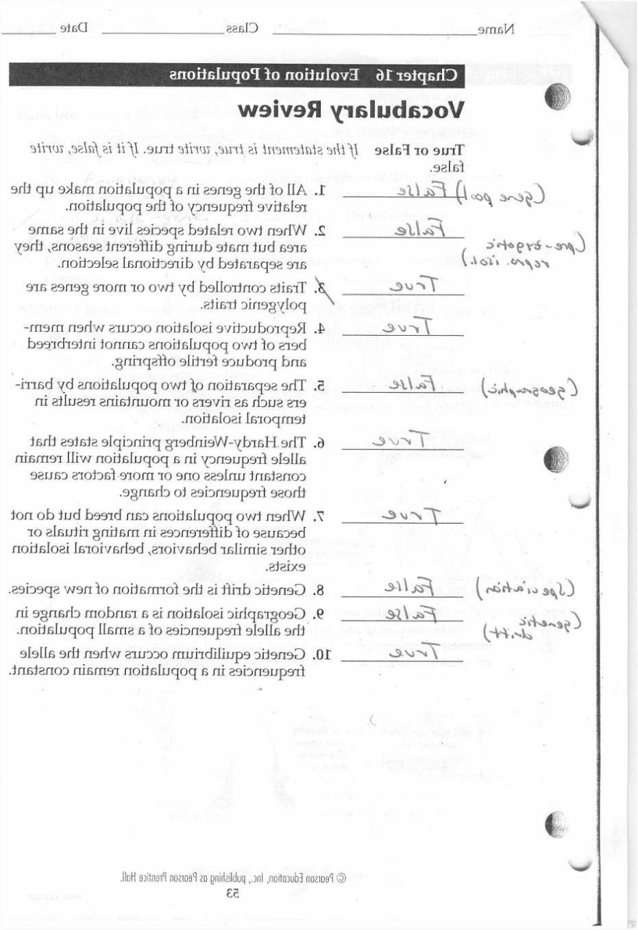 Chapter 7 Section 4 Cellular Transport Worksheet Answers — Db Excel Regarding Cell Transport Worksheet Answers