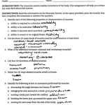 Chapter 7 The Electoral Process Worksheet Answers – Ivuyteq In The Electoral Process Worksheet Answers