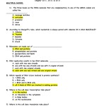 Chapter 8 From Dna To Proteins Worksheet Answer Key → Waltery Learning Inside Protein Synthesis Worksheet Answer Key