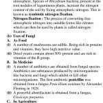 Characteristics Of Bacteria Worksheet ~ 35+ Images Characteristics Of Inside Characteristics Of Bacteria Worksheet