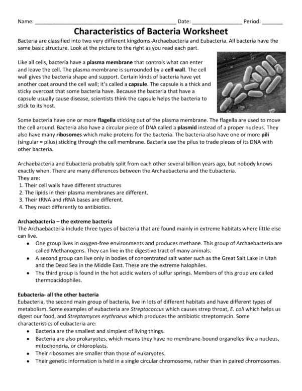 Characteristics Of Bacteria Worksheet Regarding Characteristics Of for Characteristics Of Bacteria Worksheet