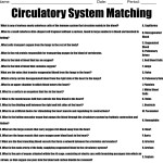 Circulatory System Worksheet Answers Regarding Circulatory System Worksheet Answers