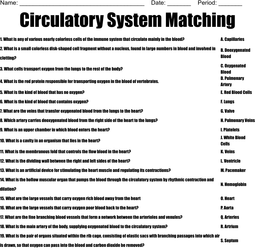 Circulatory System Worksheet Answers Regarding Circulatory System Worksheet Answers