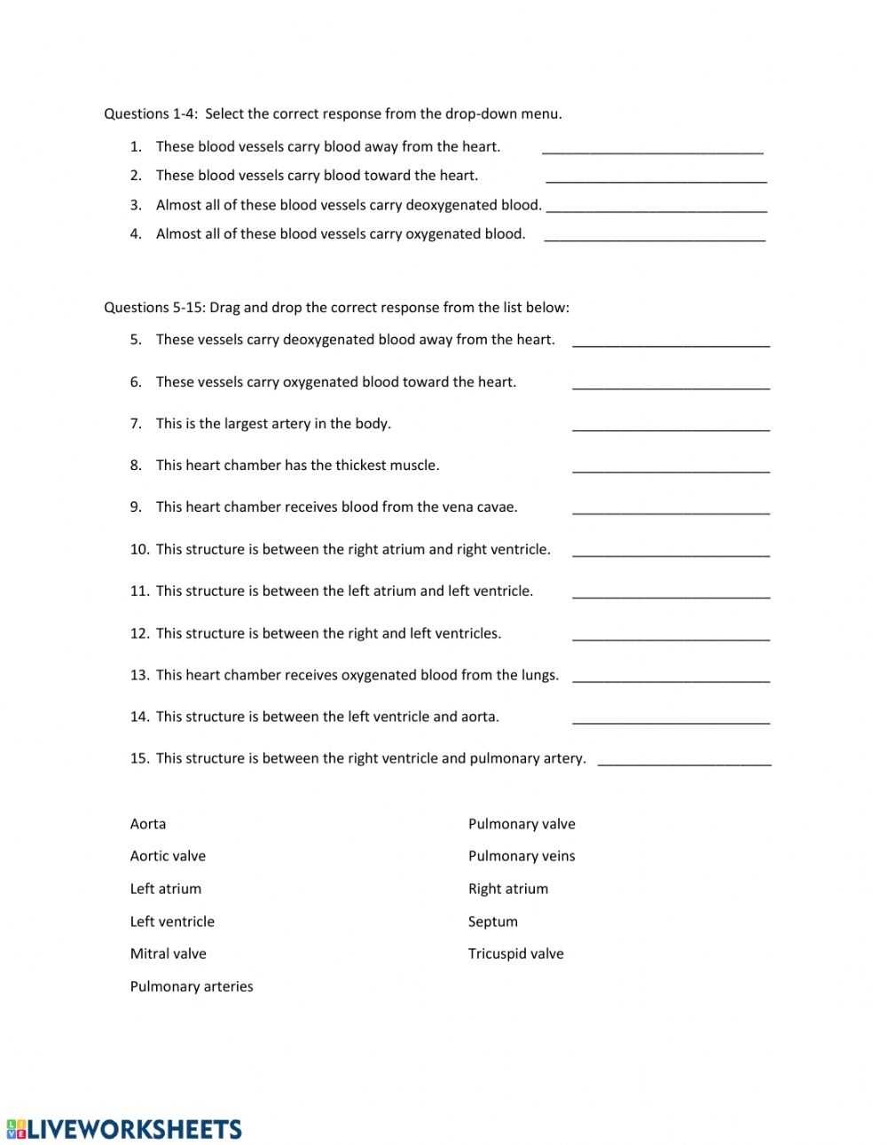 Circulatory System Worksheet Pdf pertaining to Circulatory System Worksheet Pdf