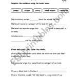 Circulatory System Worksheet Pdf With Regard To Circulatory System Worksheet Pdf