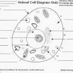 Coloring Animal Cell Worksheet - Gambar Kata Kata within Animal Cell Coloring Worksheet