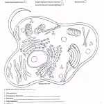 Coloring Page Animal Cell With Membrane Worksheet Answer Key — Db-Excel intended for Cell Membrane Coloring Worksheet