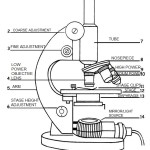 Compound Microscope Drawing Parts And Functions – Micropedia With Regard To Microscope Parts And Use Worksheet