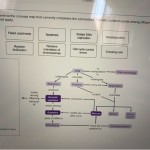 Concept Mapping Chapter 9 The Cell Cycle Answers | Fanaticopormoda Throughout Cell Concept Map Worksheet Answers