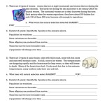 Darwins Natural Selection Worksheet — Db Excel Regarding Darwin Natural Selection Worksheet