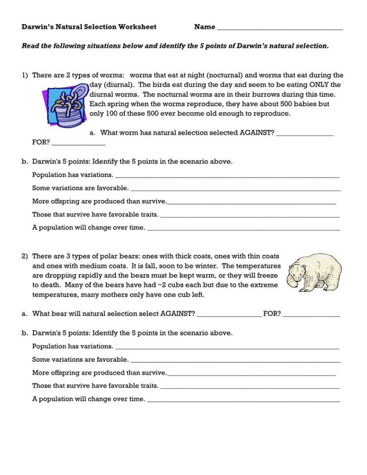 Darwins Natural Selection Worksheet — Db-Excel within Darwin'S Natural Selection Worksheet