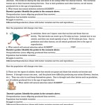 Darwin'S Natural Selection Worksheet Regarding Darwin Natural Selection Worksheet