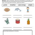 Describing Characteristics Living Things Worksheet – Have Fun Teaching Inside Characteristics Of Life Worksheet Answers
