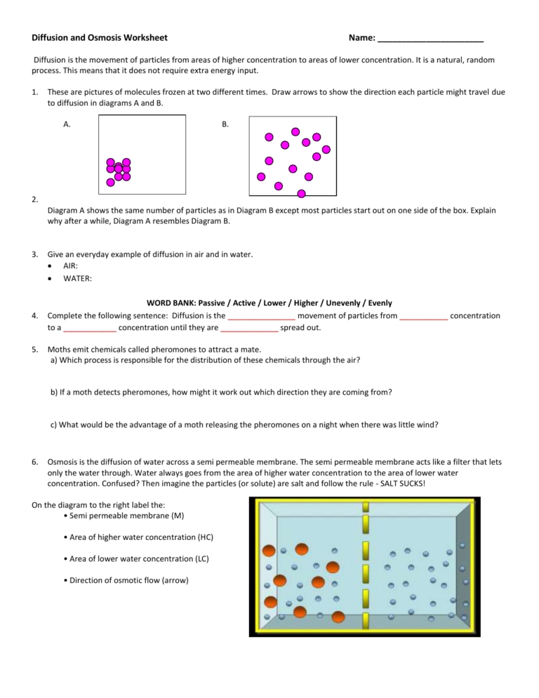 Diffusion And Osmosis Worksheet Answers — Db Excel Intended For Diffusion And Osmosis Worksheet Answers