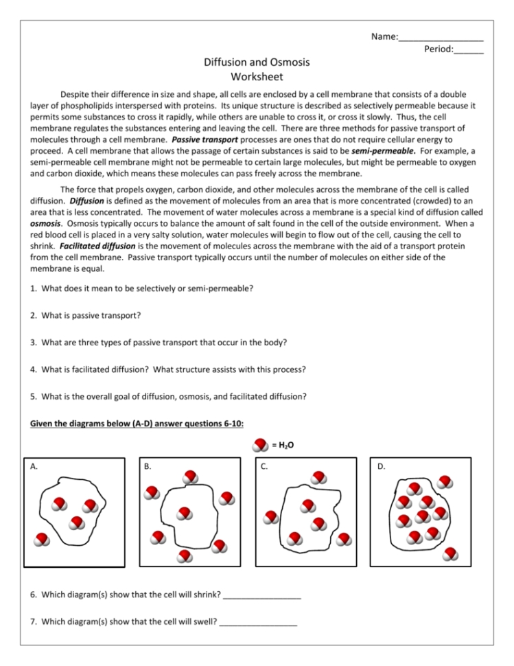 Diffusion And Osmosis Worksheet — Db-Excel intended for Diffusion And Osmosis Worksheet