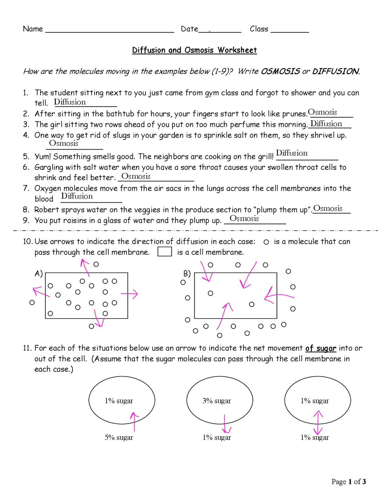Diffusion And Osmosis Worksheet Pertaining To Diffusion And Osmosis Worksheet