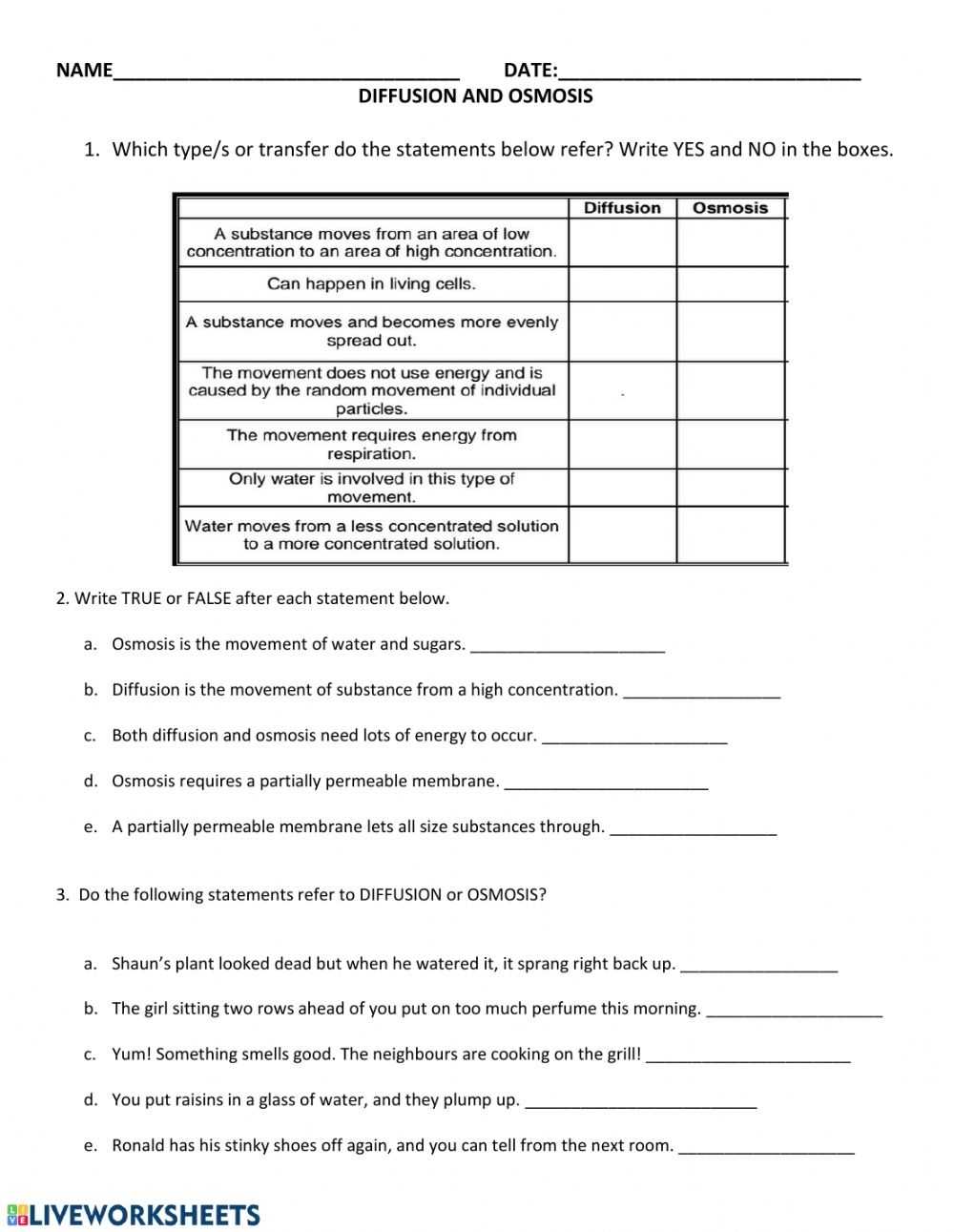 Diffusion And Osmosis Worksheet - Word Worksheet With Diffusion And Osmosis Worksheet