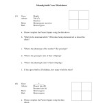Dihybrid Crosses Answers / Dihybrid Crosses – Practice Worksheet | Middle School For Dihybrid Cross Worksheet Answers