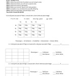 Dihybrid Punnett Square Practice Answer Key : Genetics: Dihybrid (Two Factor) Practice Problem throughout Punnett Square Practice Problems Worksheet
