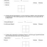 Dihybrid Punnett Square Worksheet Inside Punnett Square Practice Problems Worksheet