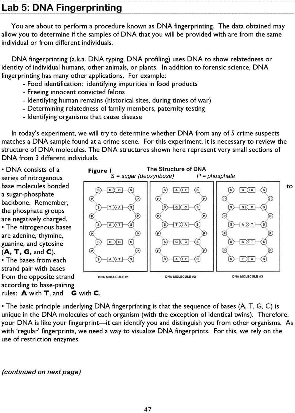 Dna Fingerprinting And Paternity Answer Key / Dna_Fingerprinting_And_Paternity_Worksheet.pdf within Dna Fingerprinting Worksheet Answers